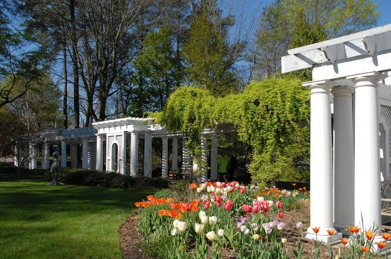 Salisbury University Arboretum, United States